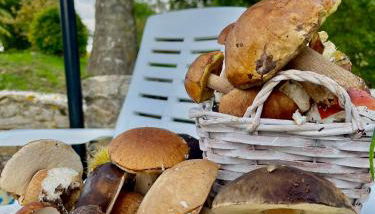 Borgo Petraio - Foto 5, Garden