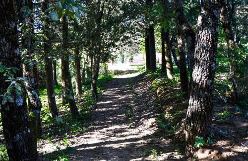 Dream House - Foto 23