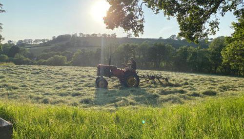 Oakies Farm Stays XL - Foto 3