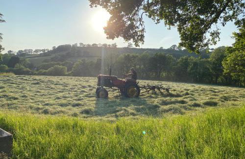 Oakies Farm Stays XL - Foto 3