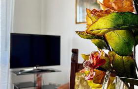 2-bedroom apartment ILLARIO - heart of Tuscany - airco & free parking - Foto 5