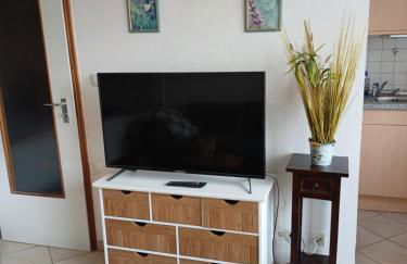 Waldgeflüster - Photo 7