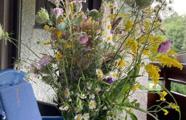 2 bedroom Apartment in Bad Hofgastein with garden - Photo 29