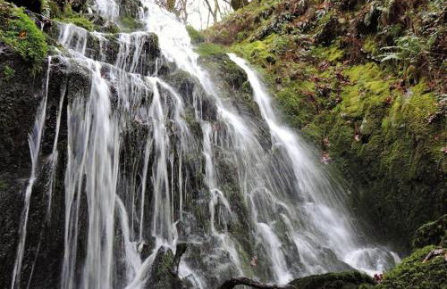 Jack's House - Foto 52