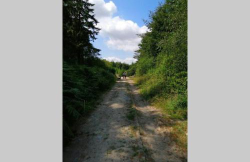Stunning cosy barn in peaceful rural Cornwall - Photo 23