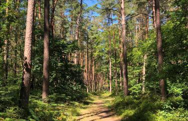 Apple Tree House - Foto 54