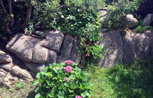 Villa la Bonaccia in La Maddalena - Photo 20