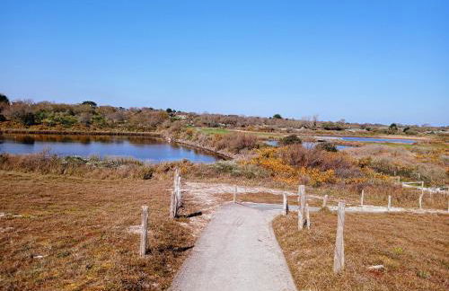 Sea Bird parking draps fournis piscine estivale - Foto 16