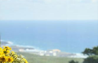 Dream Guincho - Foto 51