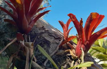 Marina's Praia Itaipu - Foto 17