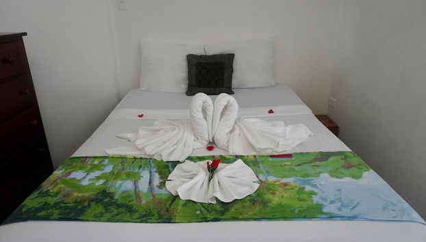 Apartment in Belize with swimming pool and terrace - Photo 2