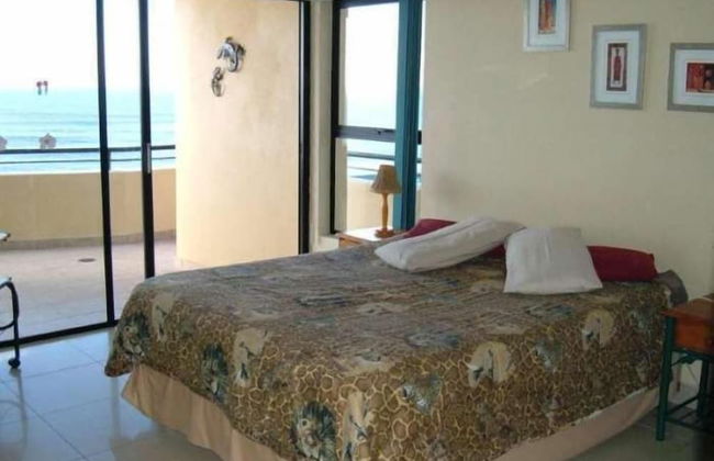 Lazy Lizard - Foto 3