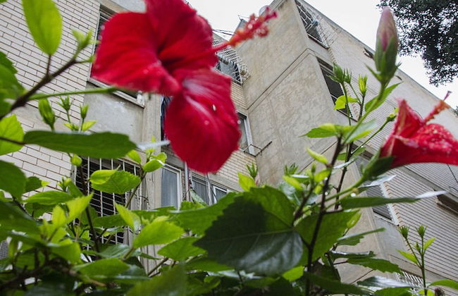 KAV Apartments - Near Assuta Korazim St - Photo 10