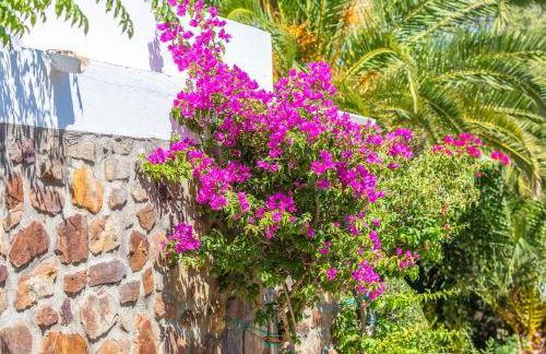 Casa Pájaro del Músico, Bolonia - Foto 42