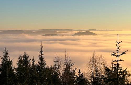 romantisches Winzerhäuschen Schwarzwald und Weinberge - Foto 17