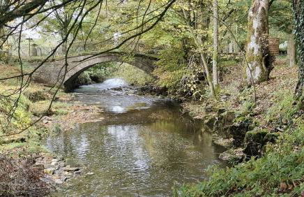 Lovelady Shield House - Foto 62