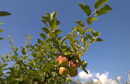 Baita Agaz - Foto 26