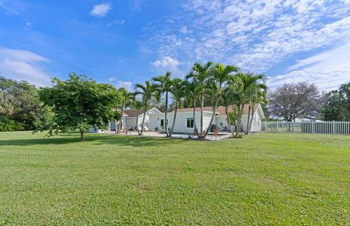 The Golden Hour - Foto 60