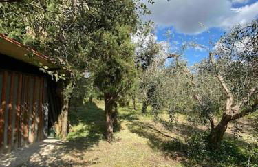 Country house in Maremma Villa Mafalda - Foto 25