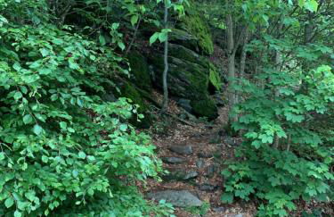 Bayerwaldnest - Foto 36