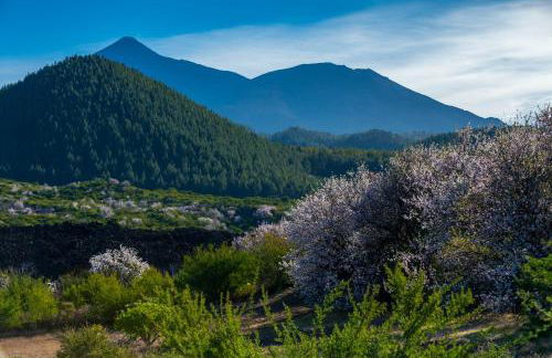 Casa La Cañada - Foto 24