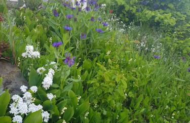 Ferienwohnung Berges - Foto 17