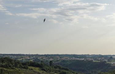 Casa sossegada na Batalha - Photo 4