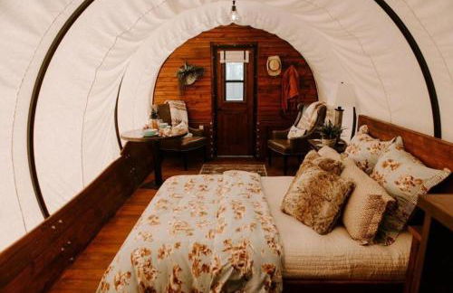 Grand Canyon Covered Wagon for Family-Friendly Glamping in Meadview, Arizona - Foto 9