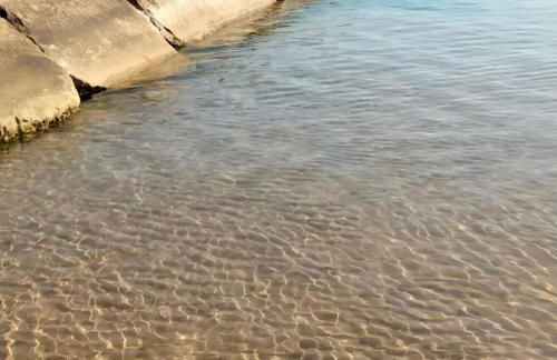 Flora house - Foto 50