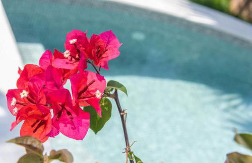 Porto Bello Tinos - Foto 41