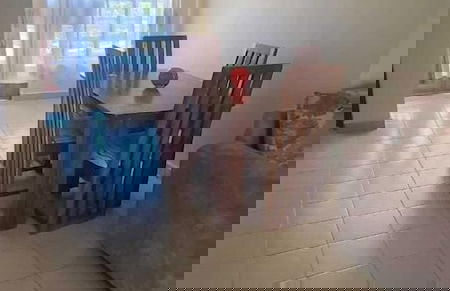 Lux Suites Kitengela Getaway Apartment - Foto 7