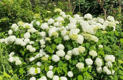 Ferienwohnung Jardin im Kunsthaus - Foto 9