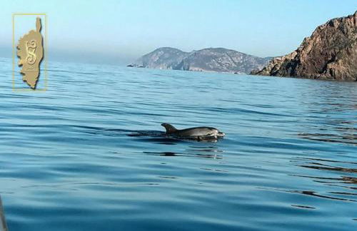 Villa Scandola - Foto 7