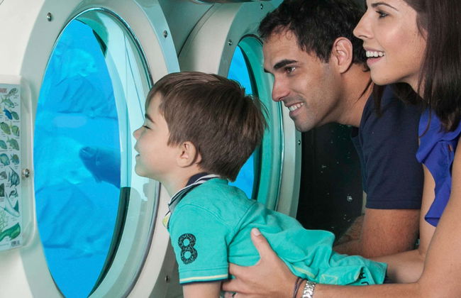 Bridgetown Submarine Ride - Photo 5