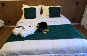 Chalé Paraíso - Foto 15