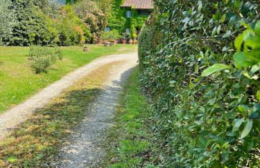 Villa Elena Tuscany - Pool & Garden Arezzo - IHH - Foto 22