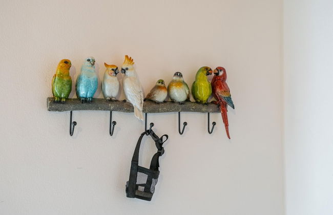 Campari Aperol in Iseo - Foto 29