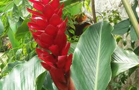 Casa Centro Historico - Photo 16