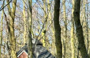 Ferienwohnung Schafberg - Foto 32