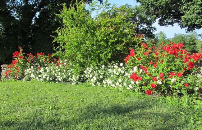 Agriturismo La Vecchia Fonte - Foto 30