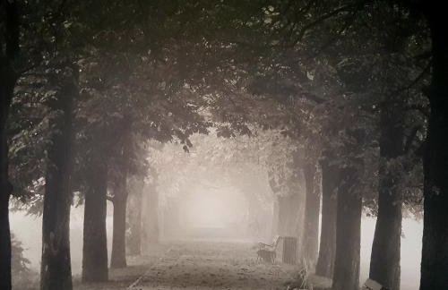 Chatterley House - Foto 123