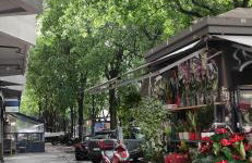 La casa di Chira con Casa Silvestro - Foto 21