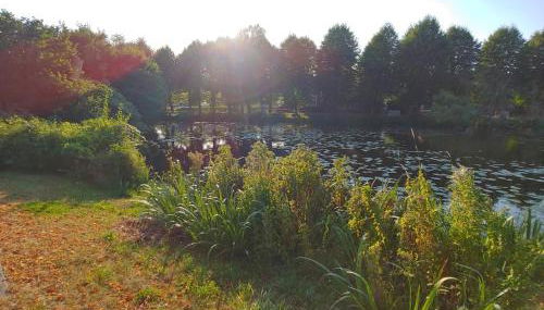 Ferienhaus "Kleinod" - Foto 4