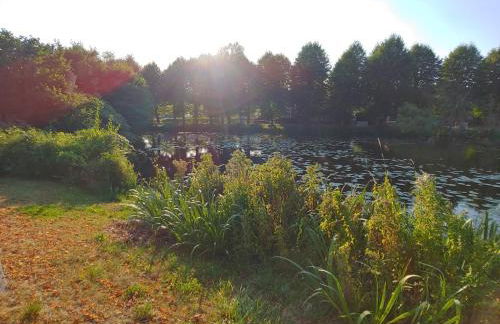 Ferienhaus "Kleinod" - Photo 4