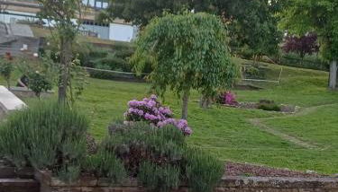 Apartamentos O Caneiro - Foto 4, Garden view