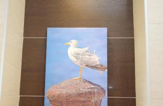 Villa Infinity - Foto 42