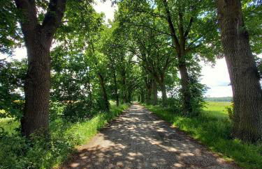 Luhe Idyll - Foto 25