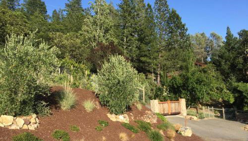 Old Toll Road Inn - Foto 2