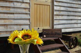 Under the Stars Shepherds Huts at Harbors Lake - Photo 33