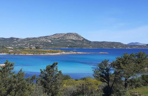 Il Glicine - Foto 28